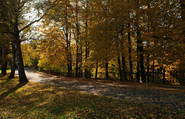Colorful autumn landscape.Nature background