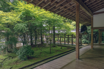 古都京都　龍安寺の庭園風景