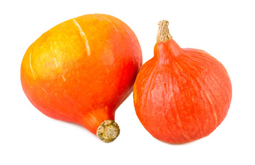 Pumpkins red kuri hokkaido isolated on white