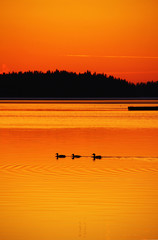 Sunset in Tampere, Finland