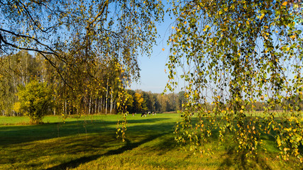 Jesień na Podlasiu © podlaski49