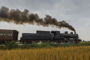 Fototapeta na wymiar Steam locomotive runs between soybean fields