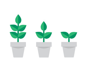 Plants in pot flat icon. Vector Illustration. Stages of growth of plant and seed to tree