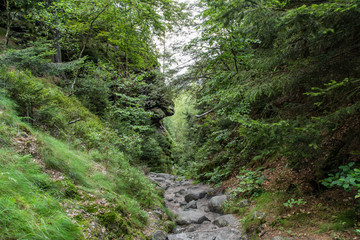 Wanderweg Wilde Hölle, Nationalpark Sächsische Schweiz