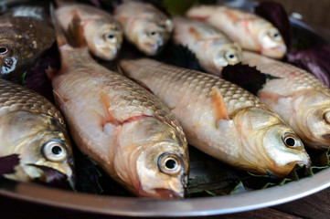 Live fish (carp). Fresh catch.  Close up