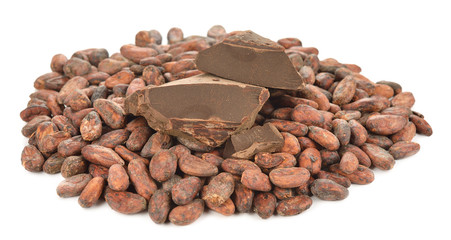 Natural cocoa products