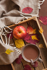 hot chocolate warming drink wool throw cozy autumn leaves