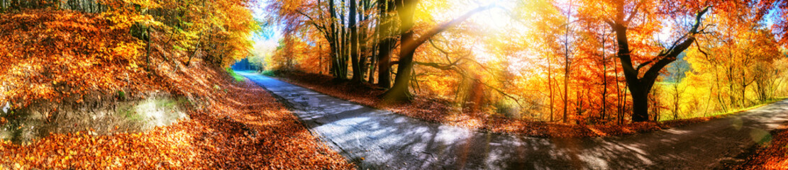 Panoramic autumn landscape with country road in orange tone - 122489357
