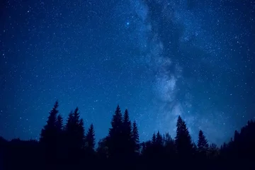 Selbstklebende Fototapete Nacht Wald bei Nacht