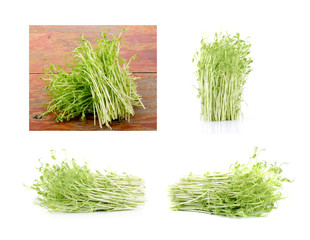 pea sprouts on white background