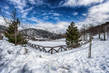 Fototapeta na wymiar Snow covered countryside driveway with wooden fencing and green firs