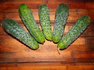 Five large green cucumber lie like a crown on a wooden board.