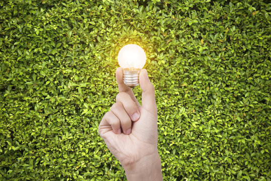 hand holding light bulb on green nature background. Ecological and energy concept