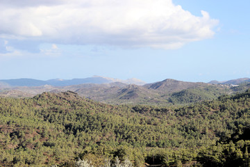 Fototapeta na wymiar Landschaft auf Rhodos
