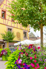 Fototapeta na wymiar Colmar architecture and flower decoration