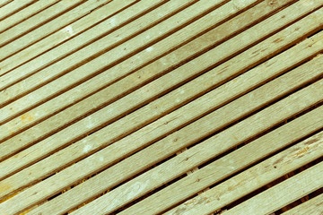 Grey wood plates background