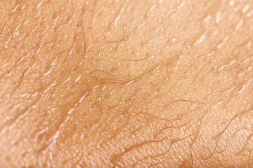 wet skin with hair for pattern