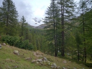 Obraz premium romantic alpine landscape in the autumn