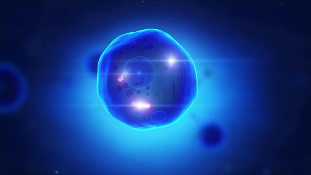 Human cell with visible mitochondria