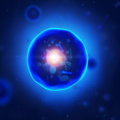 Naklejka premium Human cell with nucleus and mitochondria