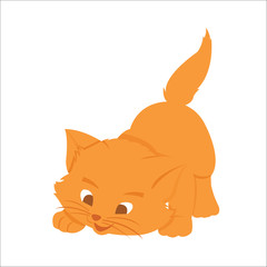 Cat on a white background. Vector illustration