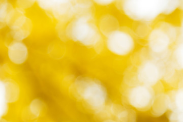 Obraz premium Jesieni tła kolorowa plama z słońca naturalnym bokeh