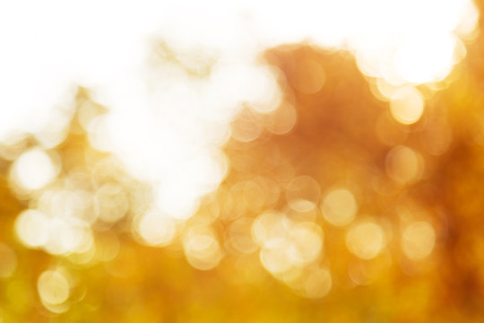 Autumn abstract background blur with sun bokeh