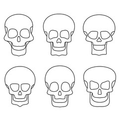 Colored skul pattern