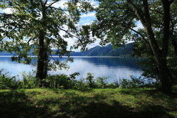 木々の奥に広がる湖畔の絶景