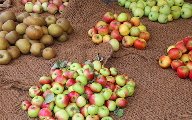 many apples for sale in the grocery