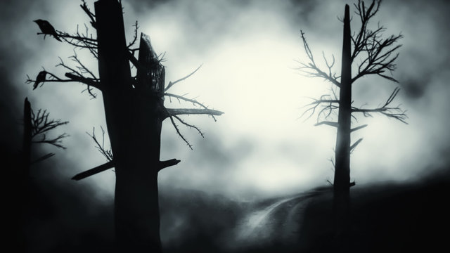 Spooky Tree Dark Night ./Halloween background.