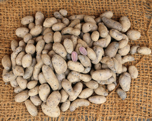 genuine raw potatoes in the grocery