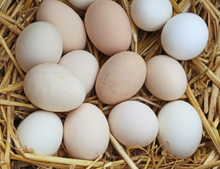 many eggs of hen in the basket