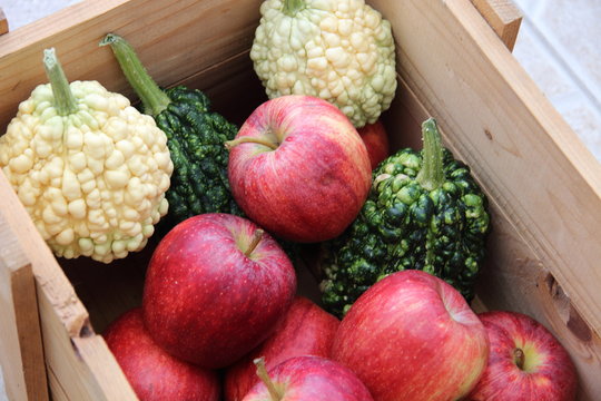 Kaorienarm Images – Browse 7 Stock Photos, Vectors, and Video | Adobe Stock