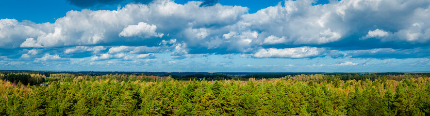 Fototapeta na wymiar Autumn panorama of green forest
