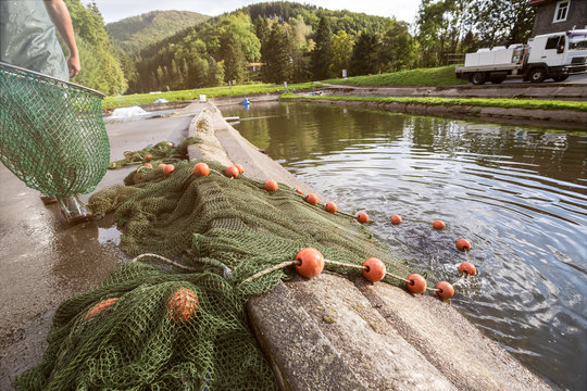 Fish Breeding Ponds