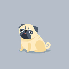 Cartoon character pug dog poses. Cute Pet dog in the flat style.