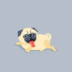 Cartoon character pug dog poses. Cute Pet dog in the flat style.