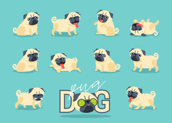 Cartoon character pug dog poses. Cute Pet dog in the flat style.