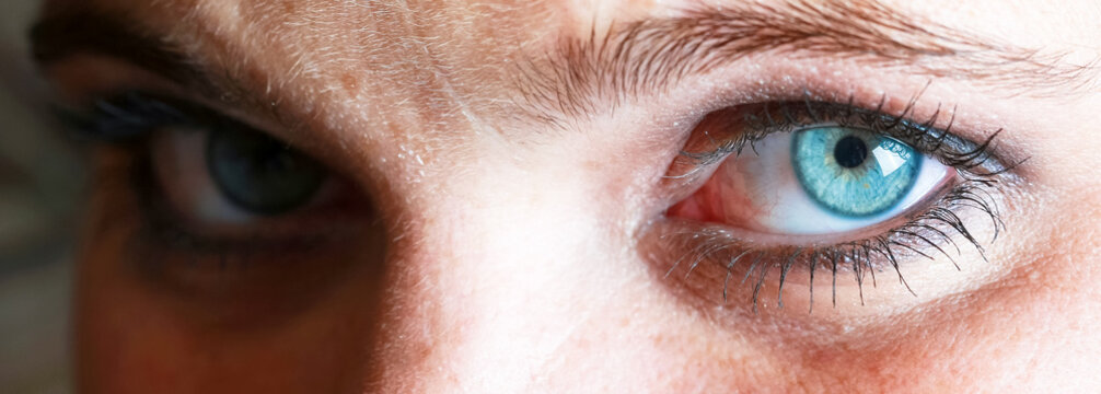 Augen &ndash; stets gute Sicht