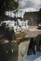 Reflection on the retail store window