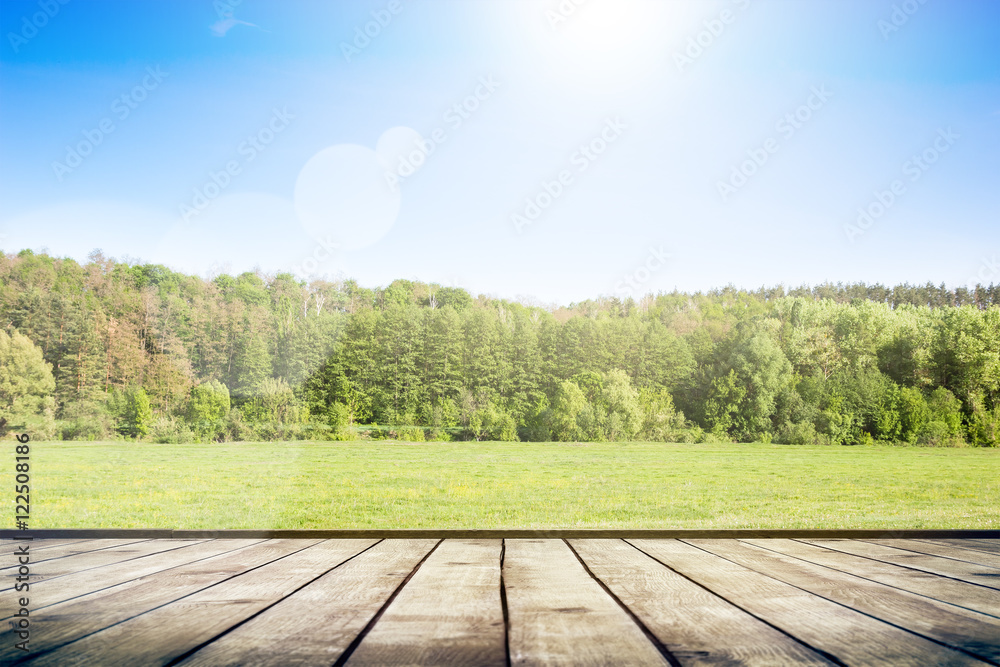 Canvas Prints field