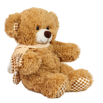 Teddy bear