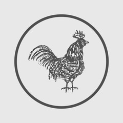 rooster icon