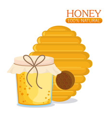 Honeycomb and jar icon. Honey healthy and organic food theme. Colorful design. Vector illustration
