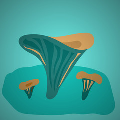 Vector illustration with mushrooms chanterelle on white background. Fresh organic food
