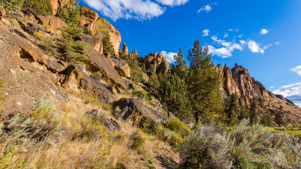 Unusual shaped rocks on the background of blue sky. The sheer rock walls. Beautiful landscape of yellow sharp cliffs. Dry yellow grass grows at the foot of cliffs. Smith Rock state park, Oregon