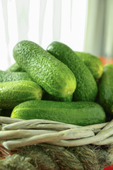 Fresh small cucumbers in wicker basket on red background.