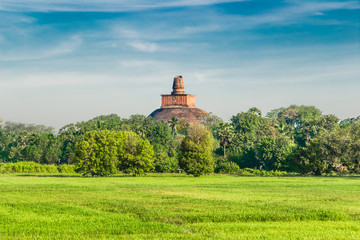 View of the Jetavan Dagoba in the forest at Anuradhapura city, S