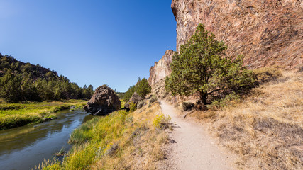 Fototapeta na wymiar The path between the rock and the river. Lonely trees on the riverbank. The river is flowing among the rocks. Colorful Canyon. Amazing landscape of yellow sharp cliffs. Smith Rock state park, Oregon